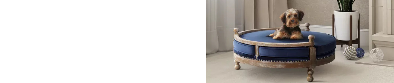 Pet Room Designing and Decorating