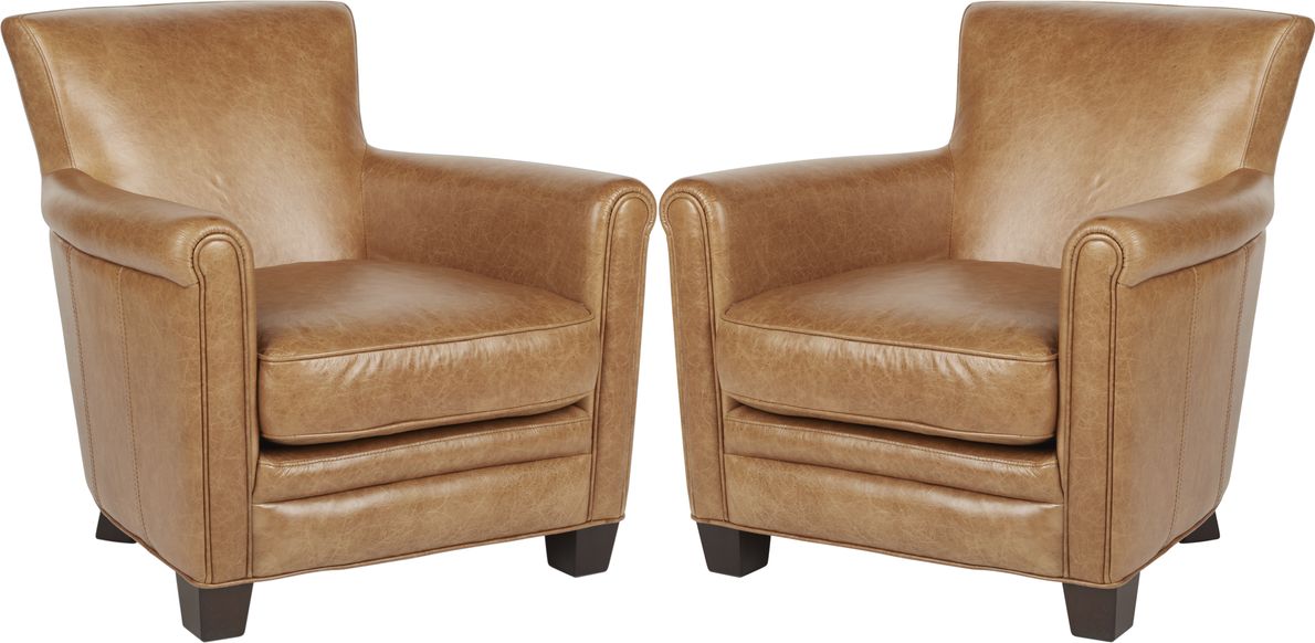 Leather accent chairs discount set of 2