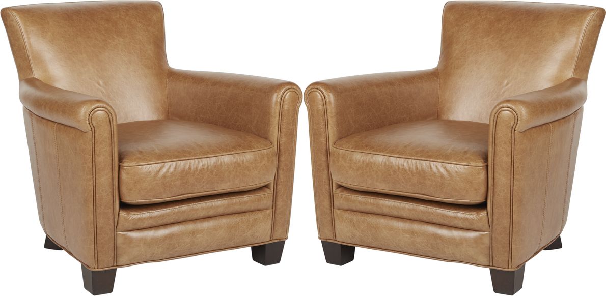 Set of 2 discount leather accent chairs